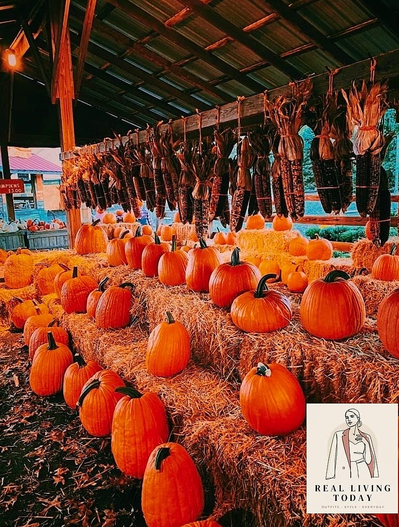 22 Cute Pumpkin Patch Outfit Ideas That Are Cozy and So Instagram-Worthy 10 The Flowy Fall Dress
